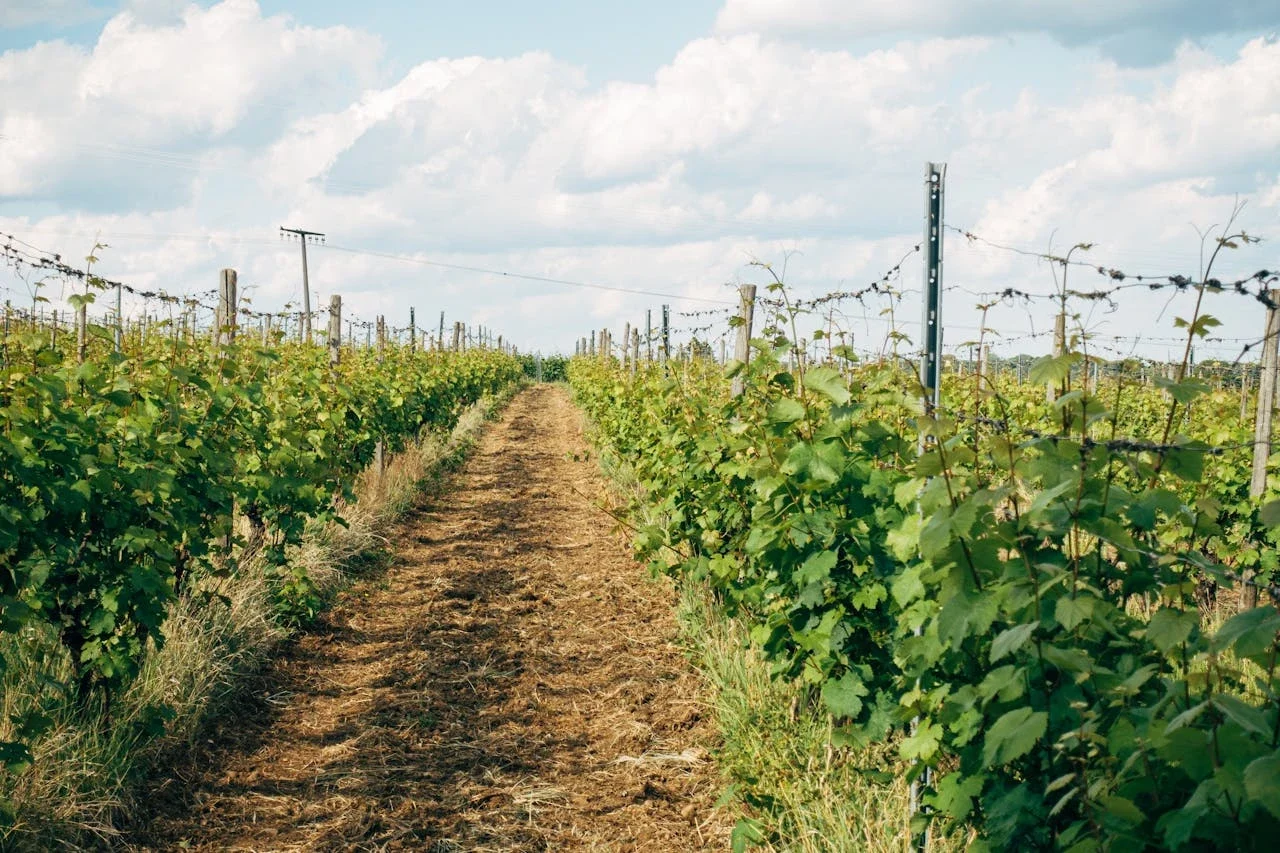 Ackerbau mit Nessalin